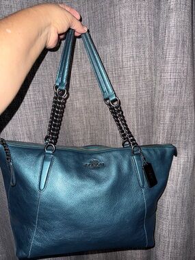 Coach Bag metallic chain rare beauty